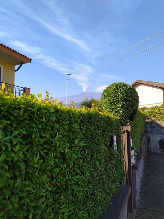 Casa Vacanze I Mori 马斯卡利 外观 照片